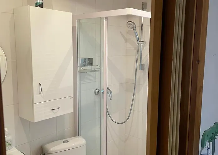 Privat Medo Apartment Depoltovice