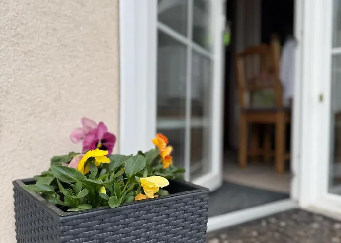 Apartment Privat Medo Depoltovice